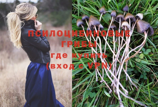 спайс Наволоки