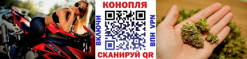 Каннабис сатива  Купить  Осинники 